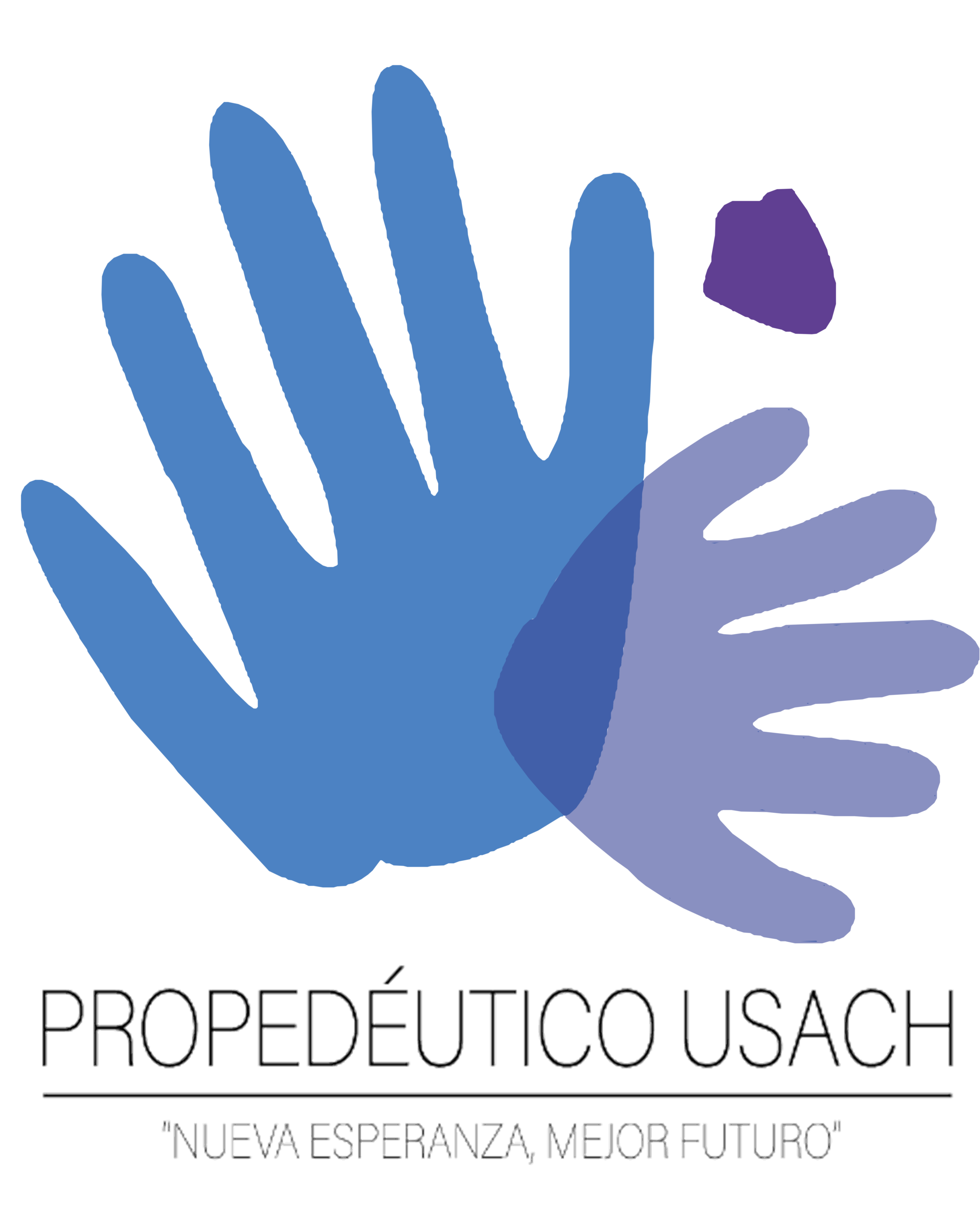 Propedéutico USACH, Nueva Esperanza, Mejor Futuro