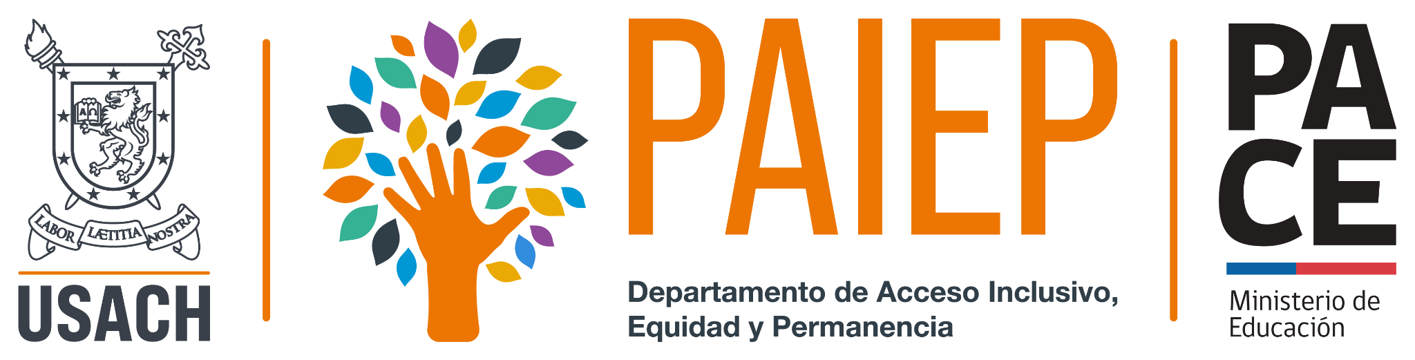 Universidad de Santiago de Chile · PAIEP · Programa PACE, Ministerio de Educación